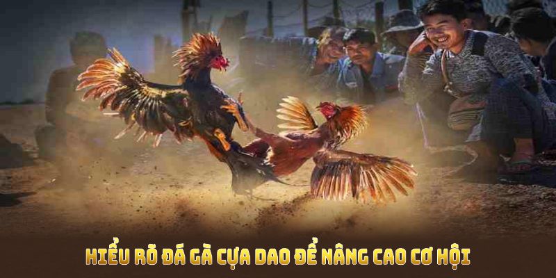 Hiểu rõ Đá Gà Cựa Dao để nâng cao cơ hội chiến thắng vượt trội