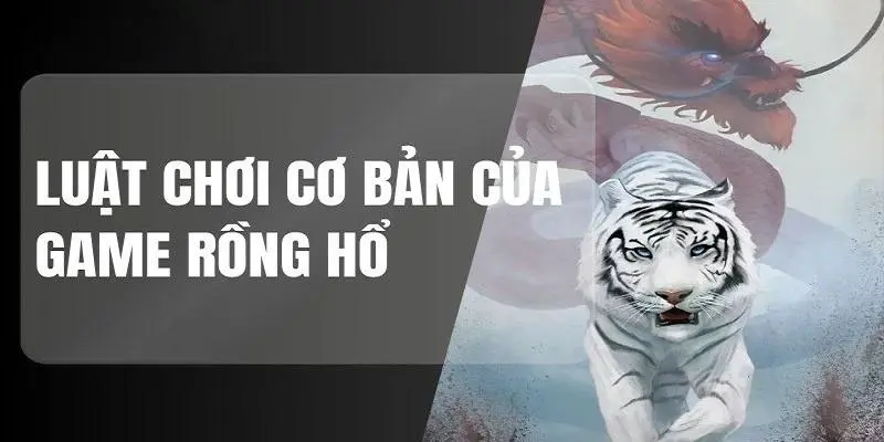 Luật chơi rồng hổ dành cho các cược thủ